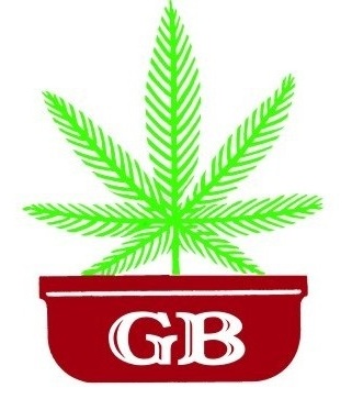 eNno Logo